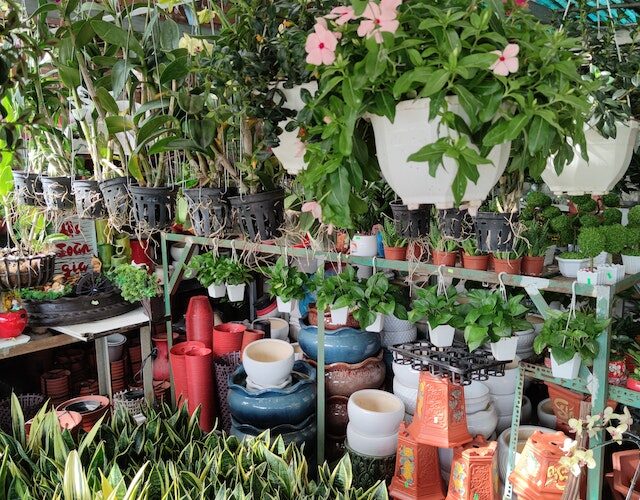 Jak wybrać najlepszy sklep ogrodniczy dla swoich potrzeb